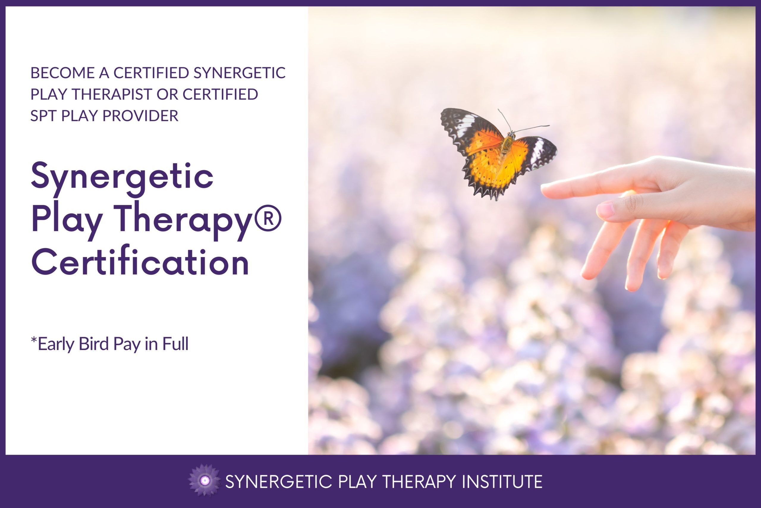 Synergetic Play Therapy Certification 2023-2024 (Early Bird Pay in Full )