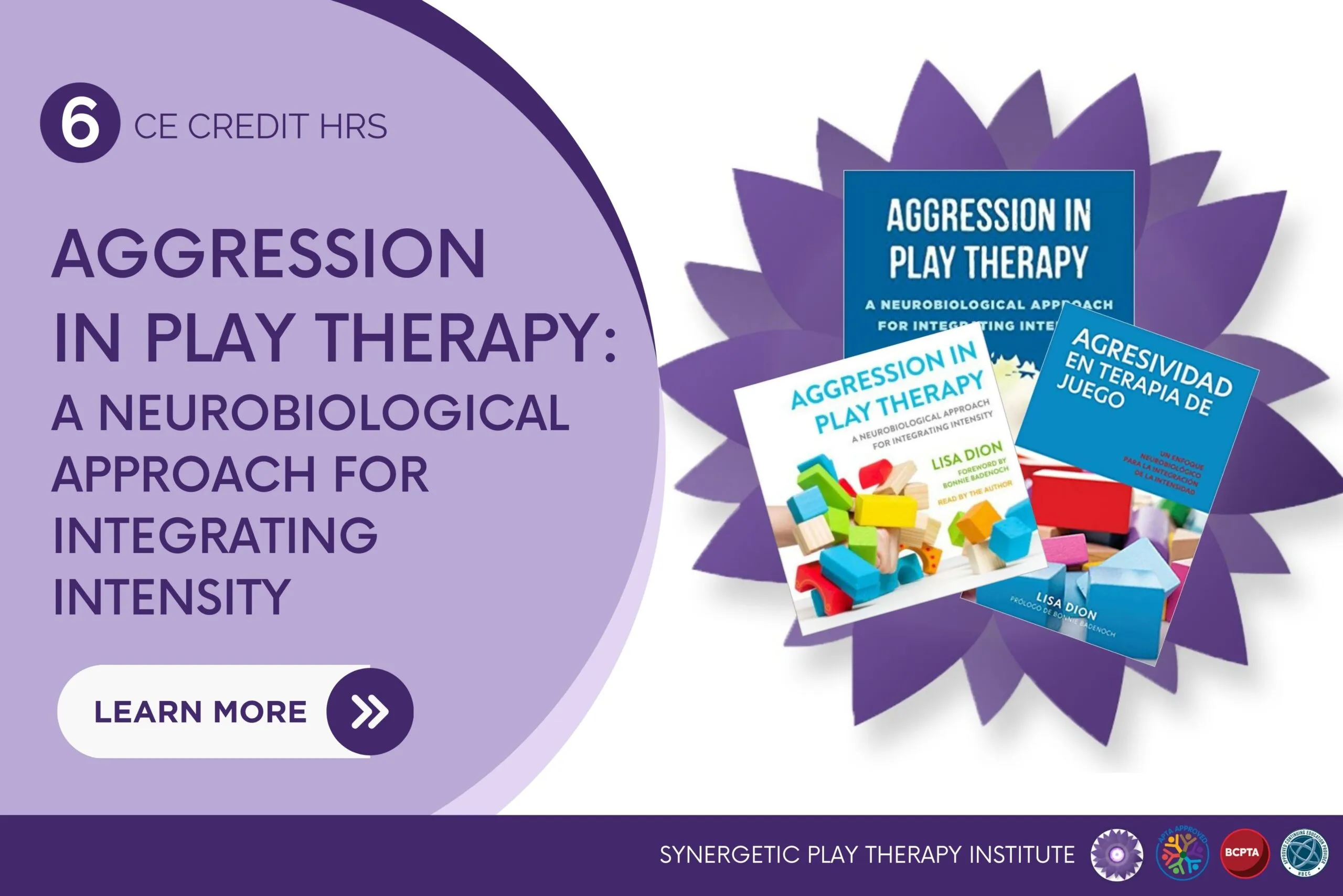 Book Study – Aggression in Play Therapy: A Neurobiological Approach for Integrating Intensity