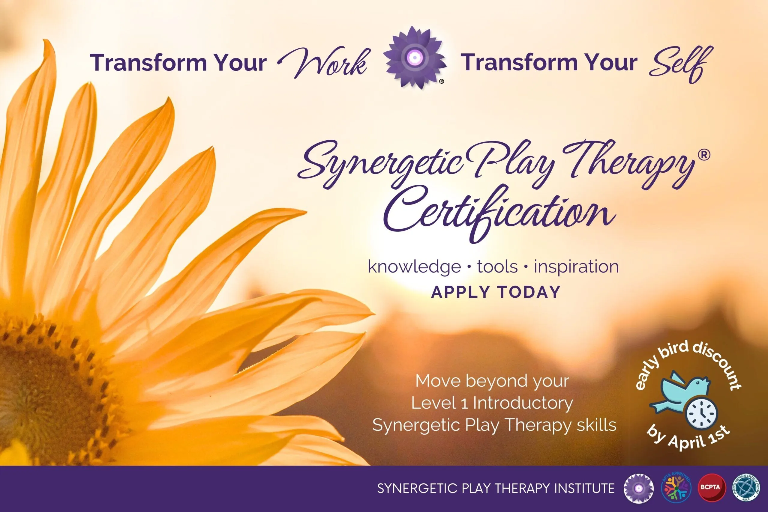 2025-2026 Synergetic Play Therapy® Certification Online Program (Level 2)