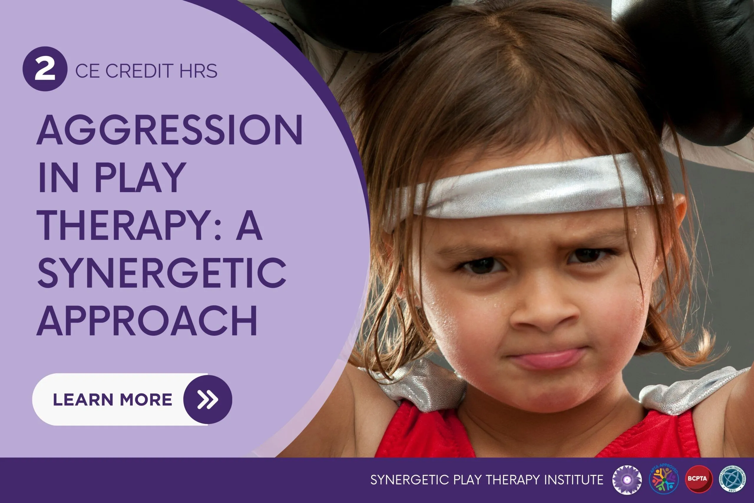 Aggression in Play Therapy: A Synergetic Approach