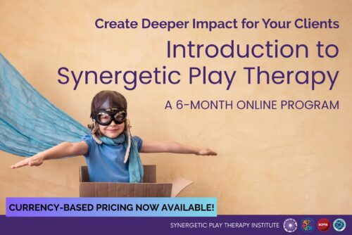 Level 1 Introduction to Synergetic Play Therapy Program (ONLINE)