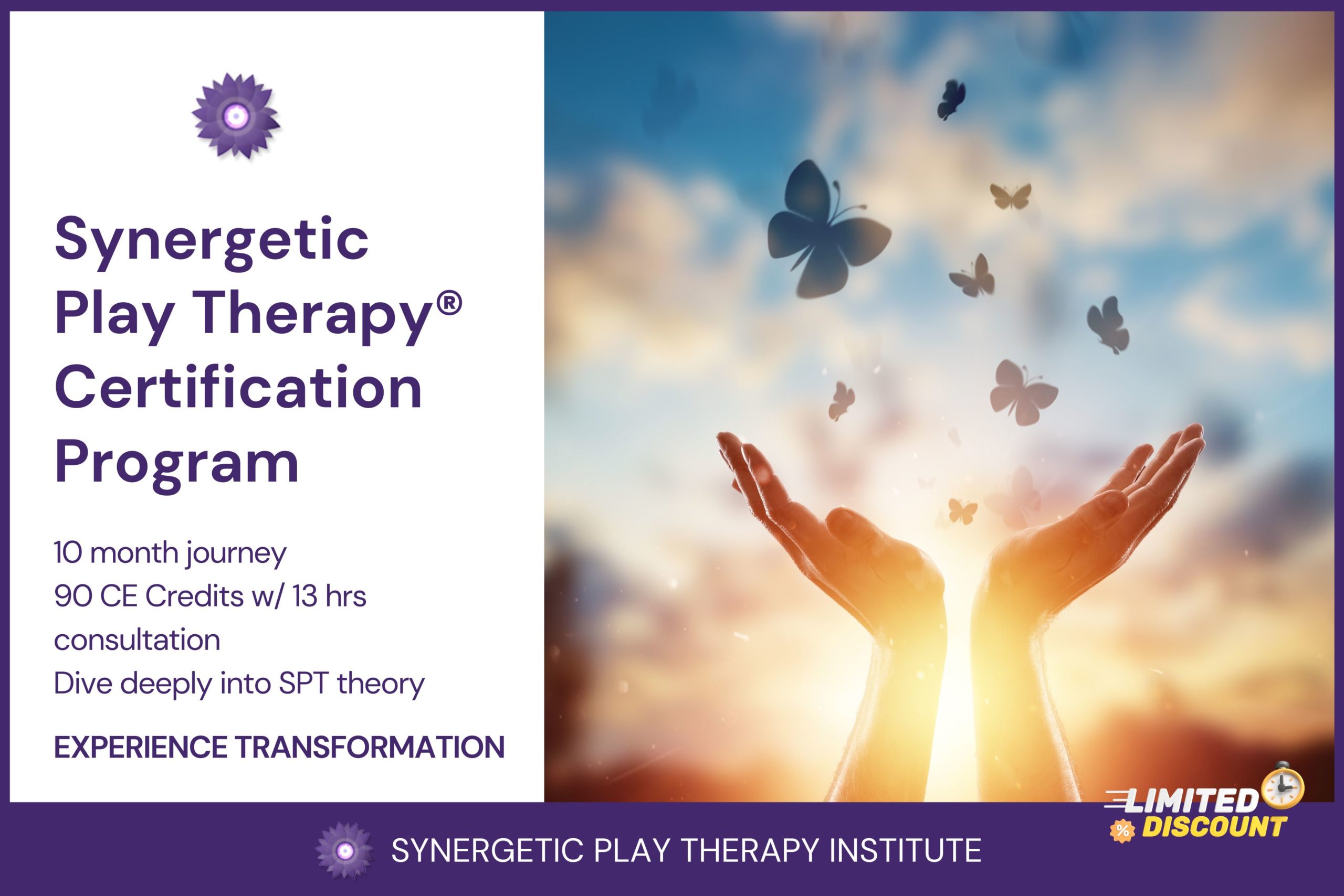 20242025 Synergetic Play Therapy® Certification Online Program (Level