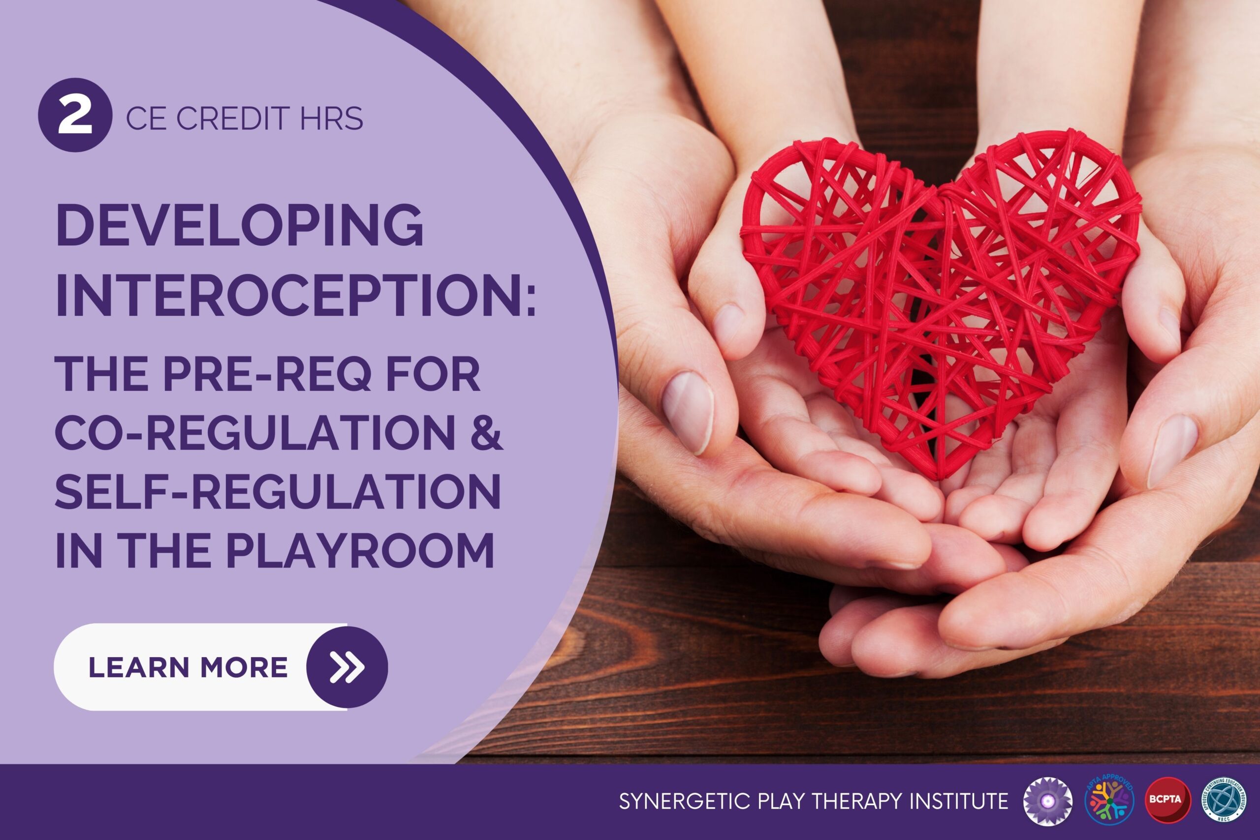 Developing Interoception: The Pre-Req for Co-Regulation & Self-Regulation in the Playroom