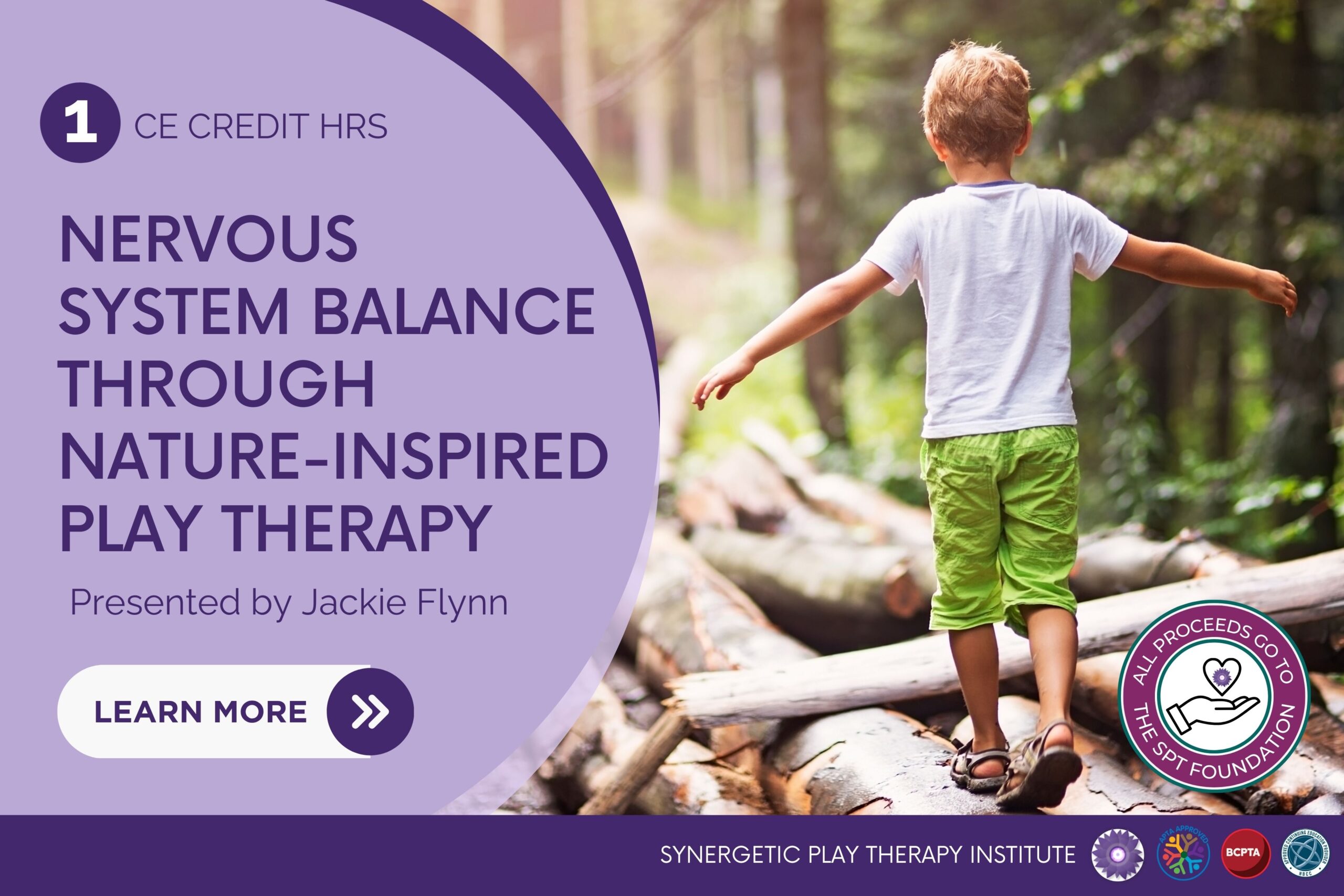 Nervous System Balance through Nature-Inspired Play Therapy
